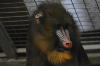 Quoi ma gueule _4298615783_l.jpg